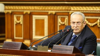 بهاء الدين أبو شقة وكيل مجلس الشيوخ،