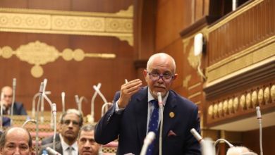 المهندس حازم الجندي، عضو مجلس الشيوخ