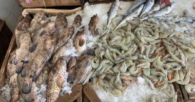 تعرف على أسعار الأسماك اليوم في أسواق الجملة.. البلطى بـ 62 جنيها والبوري 125