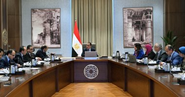 أخبار مصر.. الحكومة: تخفيف أحمال الكهرباء نهارا وليس ليلا بدءا من غد