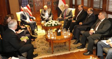 شكرى يؤكد لوفد أمريكى حتمية التوصل لوقف فورى وشامل لإطلاق النار بغزة