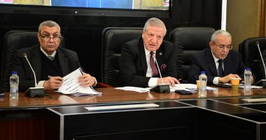 الجمارك: 194 ألف متقدم للاستفادة بمبادرة سيارات المصريين بالخارج خلال شهرين