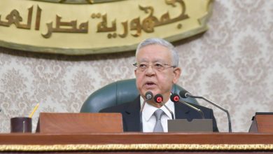 المستشار الدكتور حنفي جبالي رئيس مجلس النواب