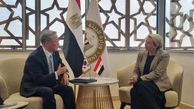 ياسمين فؤاد وكيم يونج هيون