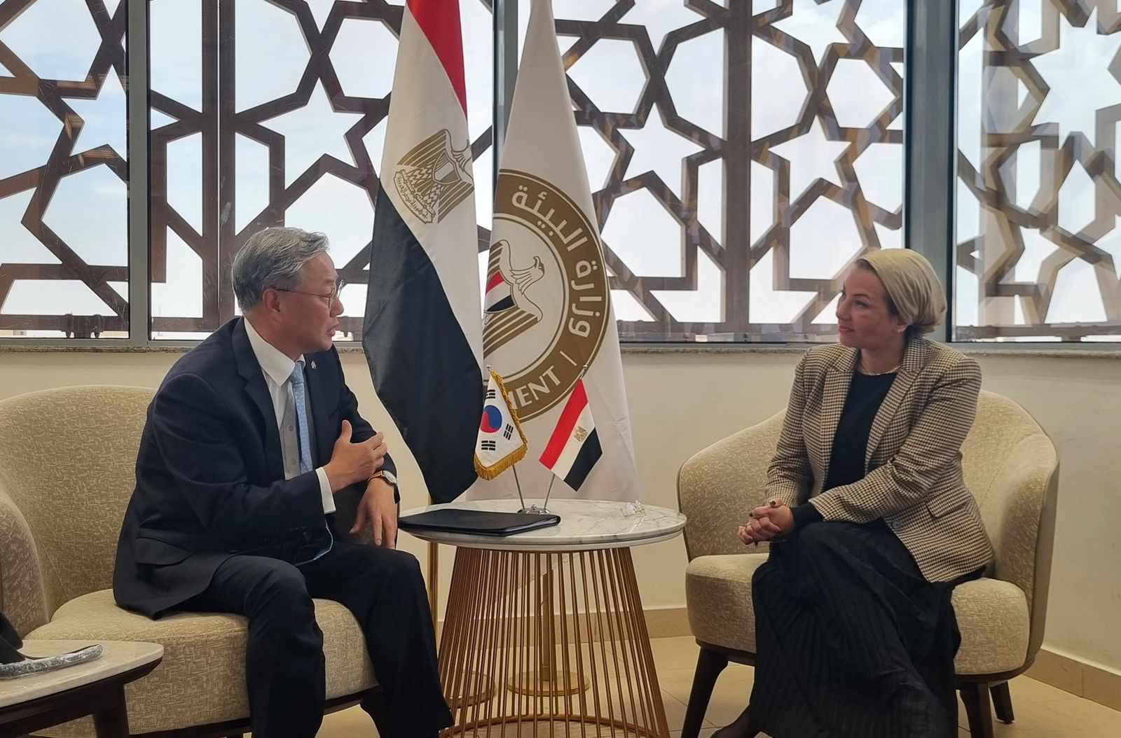 ياسمين فؤاد وكيم يونج هيون