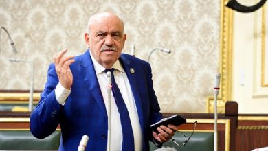 النائب سيد حنفى طه