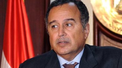 نبيل فهمي، وزير الخارجية الأسبق