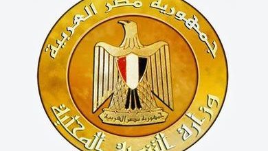 وزارة التنمية المحلية