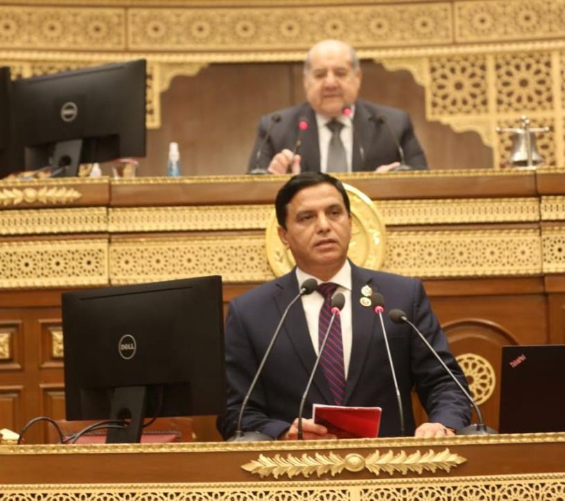 النائب اللواء طارق نصير