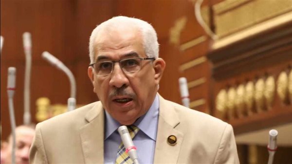 النائب مجدي سليم وكيل لجنة الطاقة بمجلس الشيوخ