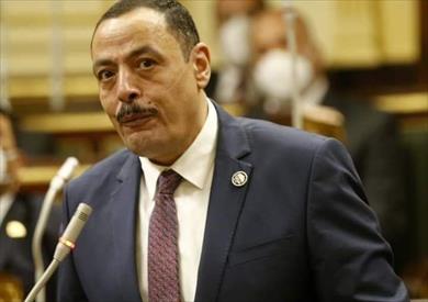 النائب أشرف أمين