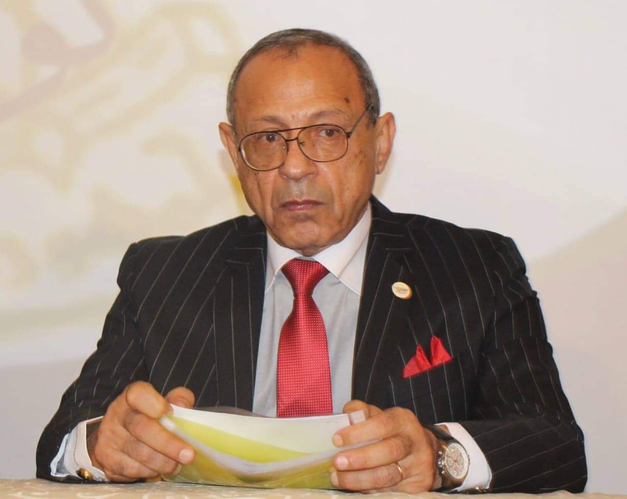 رؤوف السيد علي رئيس حزب الحركة الوطنية المصرية