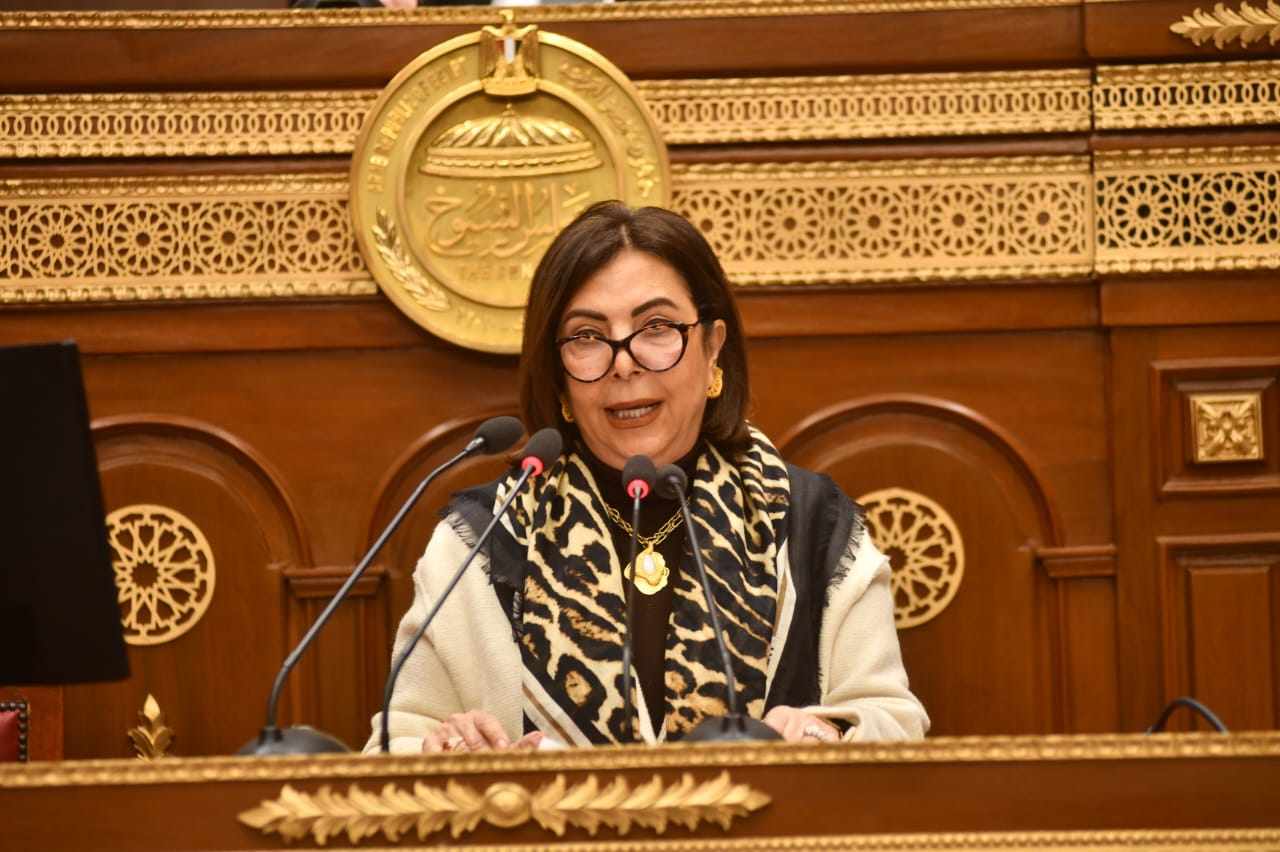 النائبة هالة كمال