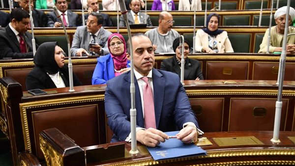 المستشار محمود فوزي