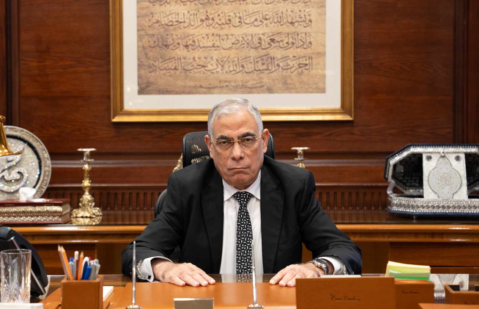 المستشار محمد شوقي