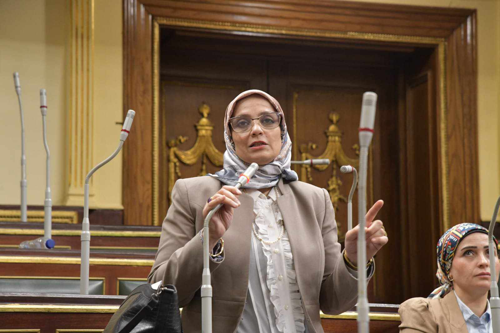 النائبة نجلاء العسيلي