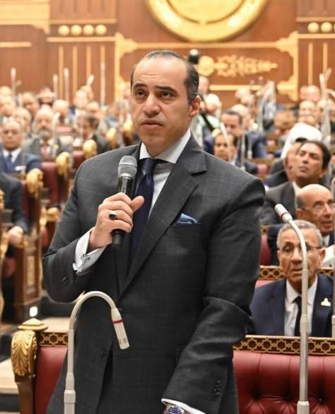 المستشار محمود فوزي وزير الشئون النيابية