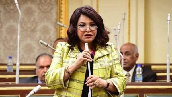 النائبة آمال عبد الحميد