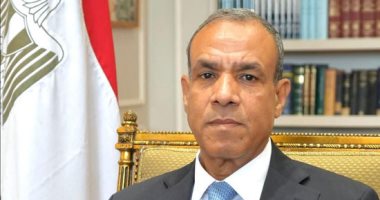 وزير الخارجية يدعو إلى دخول المساعدات الإنسانية لقطاع غزة دون عوائق