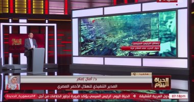 الهلال الأحمر المصرى: 36 ألف شاحنة مساعدات دخلت من مصر إلى غزة منذ أكتوبر 2023