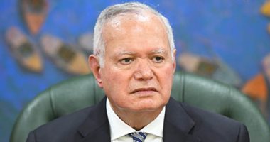 العرابى: التحرك المصرى عربيا وإفريقيا يعكس رؤية استراتيجية للحفاظ على المؤسسات