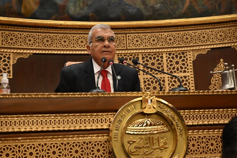 المستشار عصام فريد